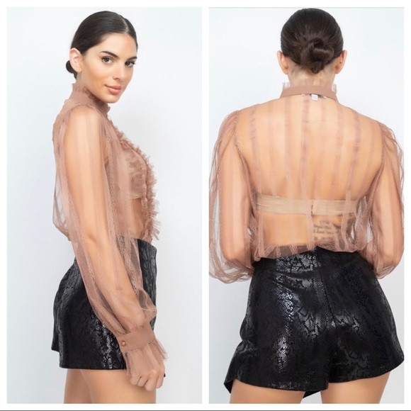 Dark Taupe Sheer Long Sleeve Ruffle Mock Neck Blouse - Picture 7 of 7